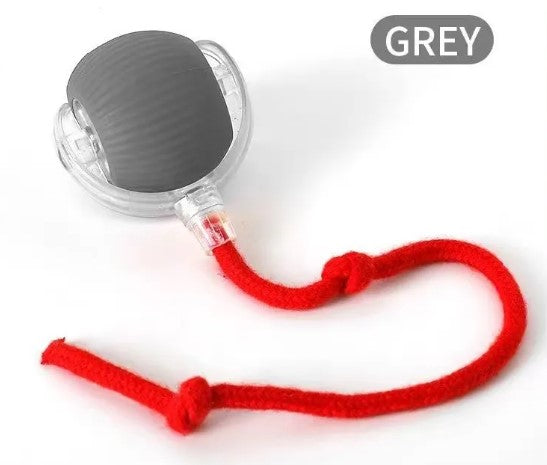Balle Jouet Interactive pour Chat - Speedy Tail - image 11