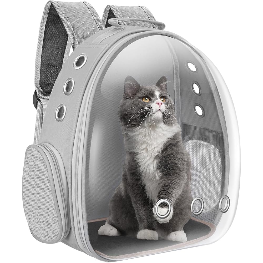 Sac à dos capsule spatial gris pour chat avec hublot transparent et chat gris à l'intérieur