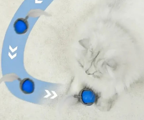 Balle Jouet Interactive pour Chat - Speedy Tail - vue principale