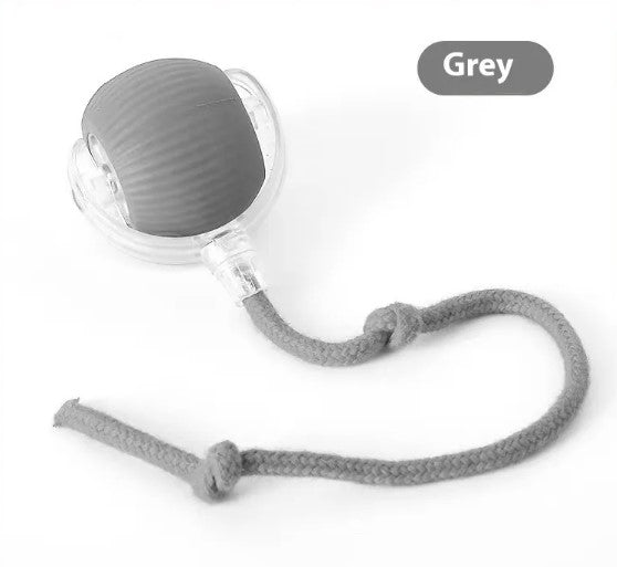 Balle Jouet Interactive pour Chat - Speedy Tail - image 14