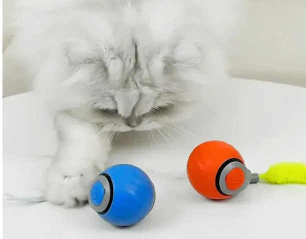 Balle Jouet Interactive pour Chat - Speedy Tail - image 6