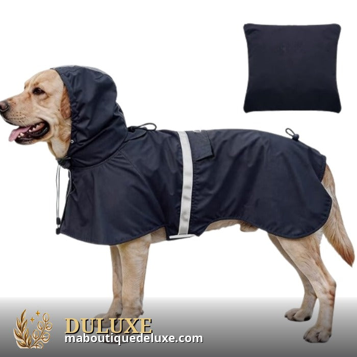 Chien portant un imperméable à capuche réfléchissant sous la pluie
